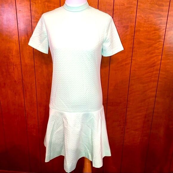 Women’s vintage retro light green dress